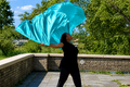 Emerald Refresh Double Layer Teal Angel Wing Flags