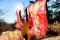 Consuming Fire – Prophetic Worship Flags